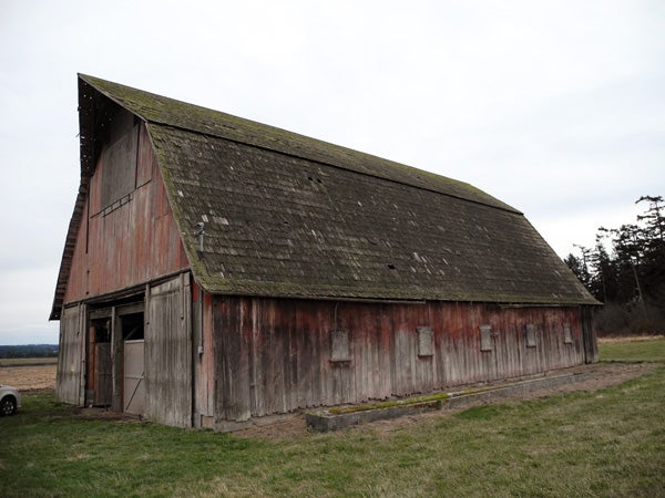 The Comstock Barn in Ebey’s Landing National Historical Reserve will serve as the location for three field school sessions this summer. Constructed in 1939 to hold sheep, the barn is in need of renovation to continue service as a monument to the agricultural history of Ebey’s Prairie. Comstock Barn