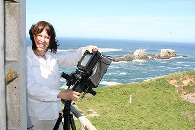 Sally Donovan