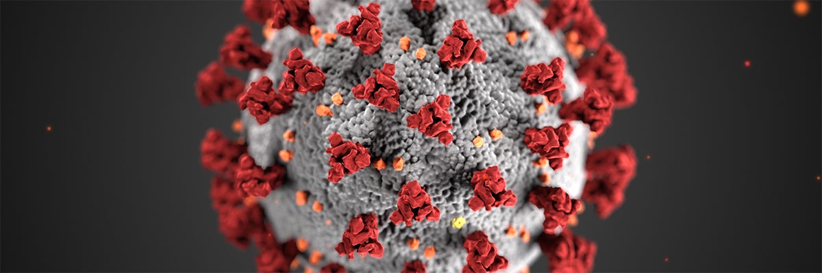 Image of COVID-19 virus