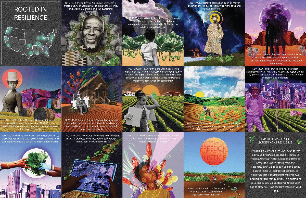 Graphic art for Rooted in Resilience
