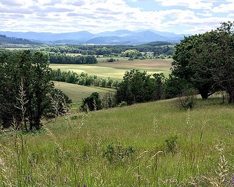agricultural land at William L. Finley National Wildlife Refuge, courtesy Mark R. Eischeid