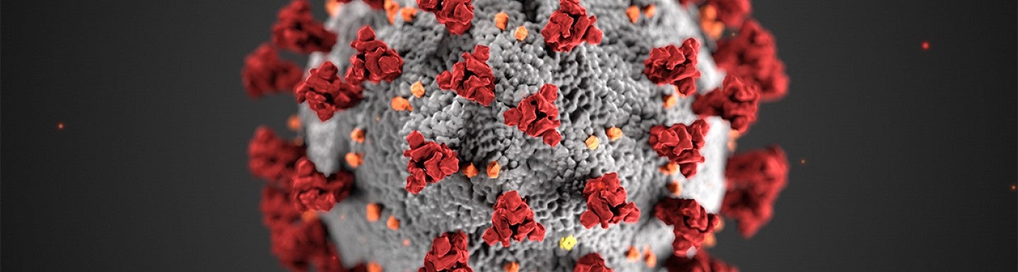 Image of COVID-19 virus