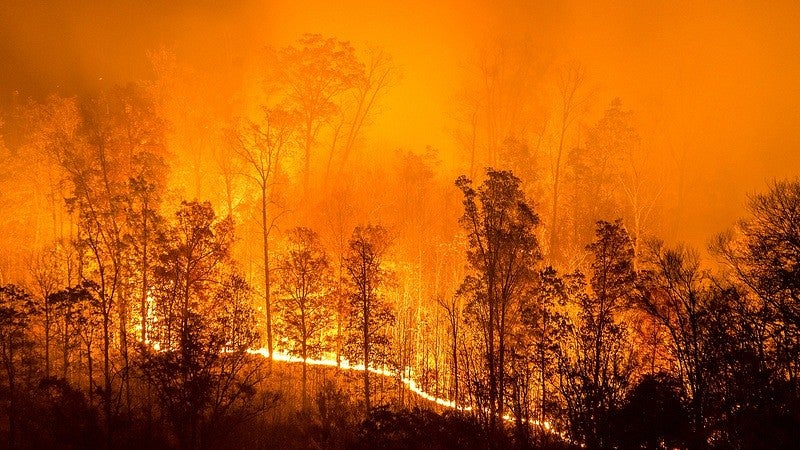 wildfire blazing