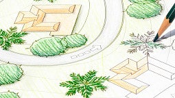 A color drawing of a site plan with plants. 