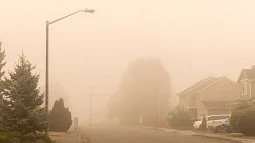 Wildfire Smoke News Header. 