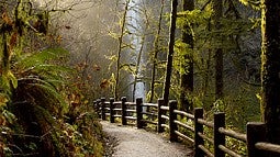 Silver Falls State Park