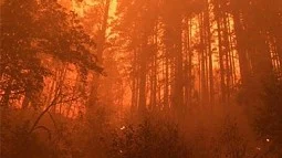 wildfire
