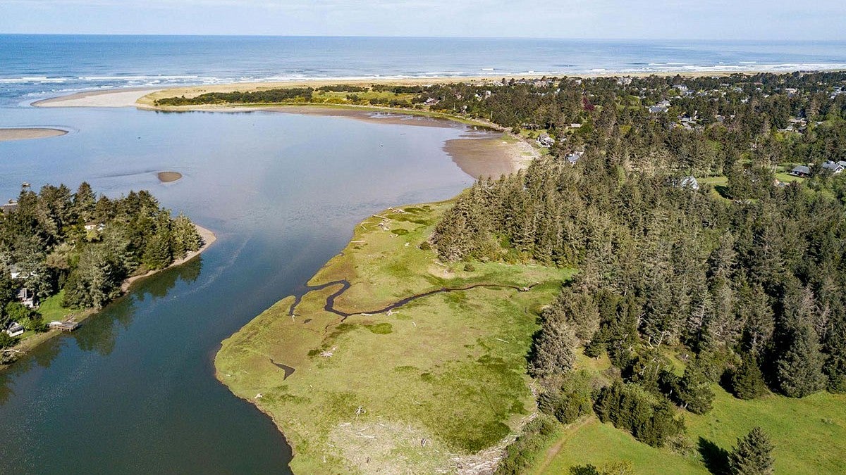Photo of Oregon Coast