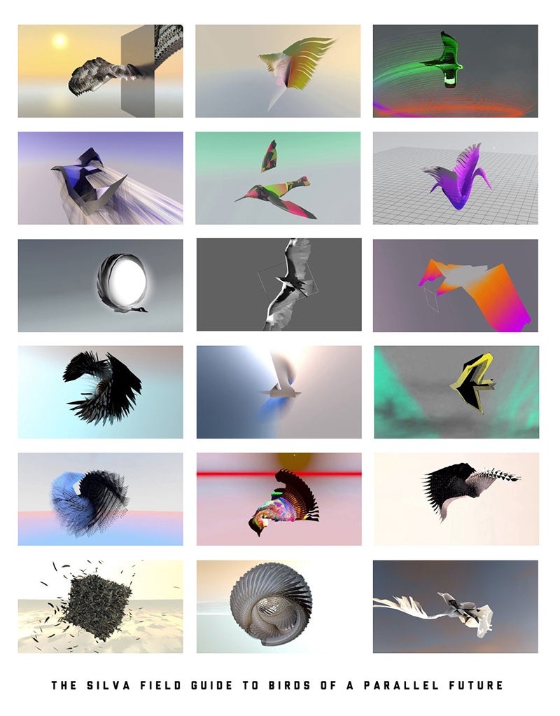 Guide to Birds