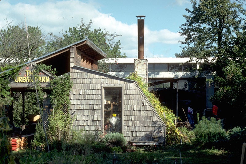 Greenhouse