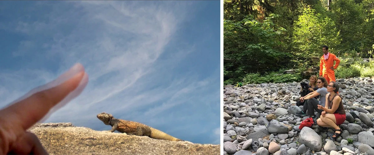 a photo of a hand and a western fence lizard, a photo of a group sitting on rocks in nature