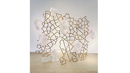 Photo of one of Tannaz Farsi's works.