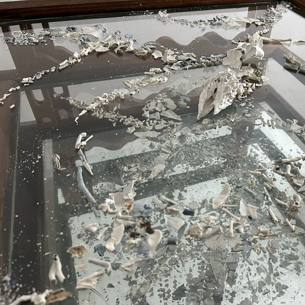 Photograph of an MFA exhibit that shows bones separated by layers of glass. 