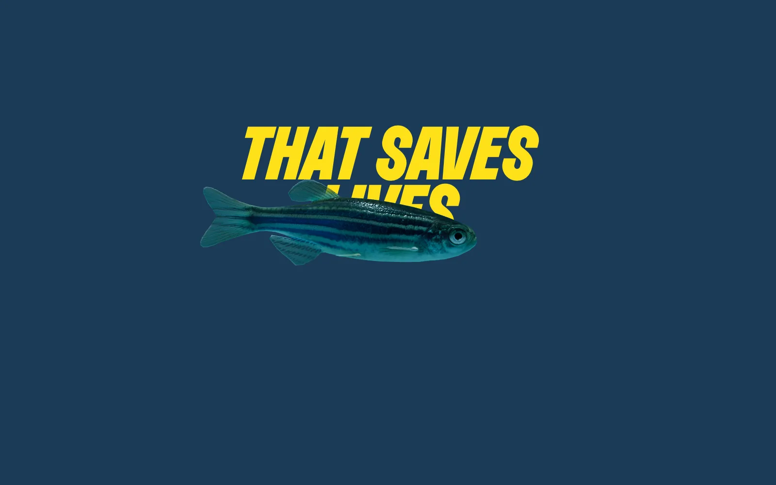 Frame from the animated experience: a zebrafish swims across the words "That Saves Lives" on deep blue, with a "Dive In" button.