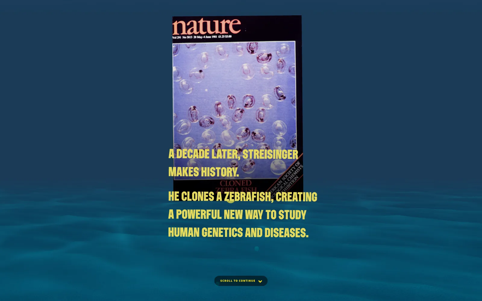 Frame from the animated experience: the 1981 cover of Nature, Cloned Zebra Fish, with the chapter’s captions over an underwater scene.