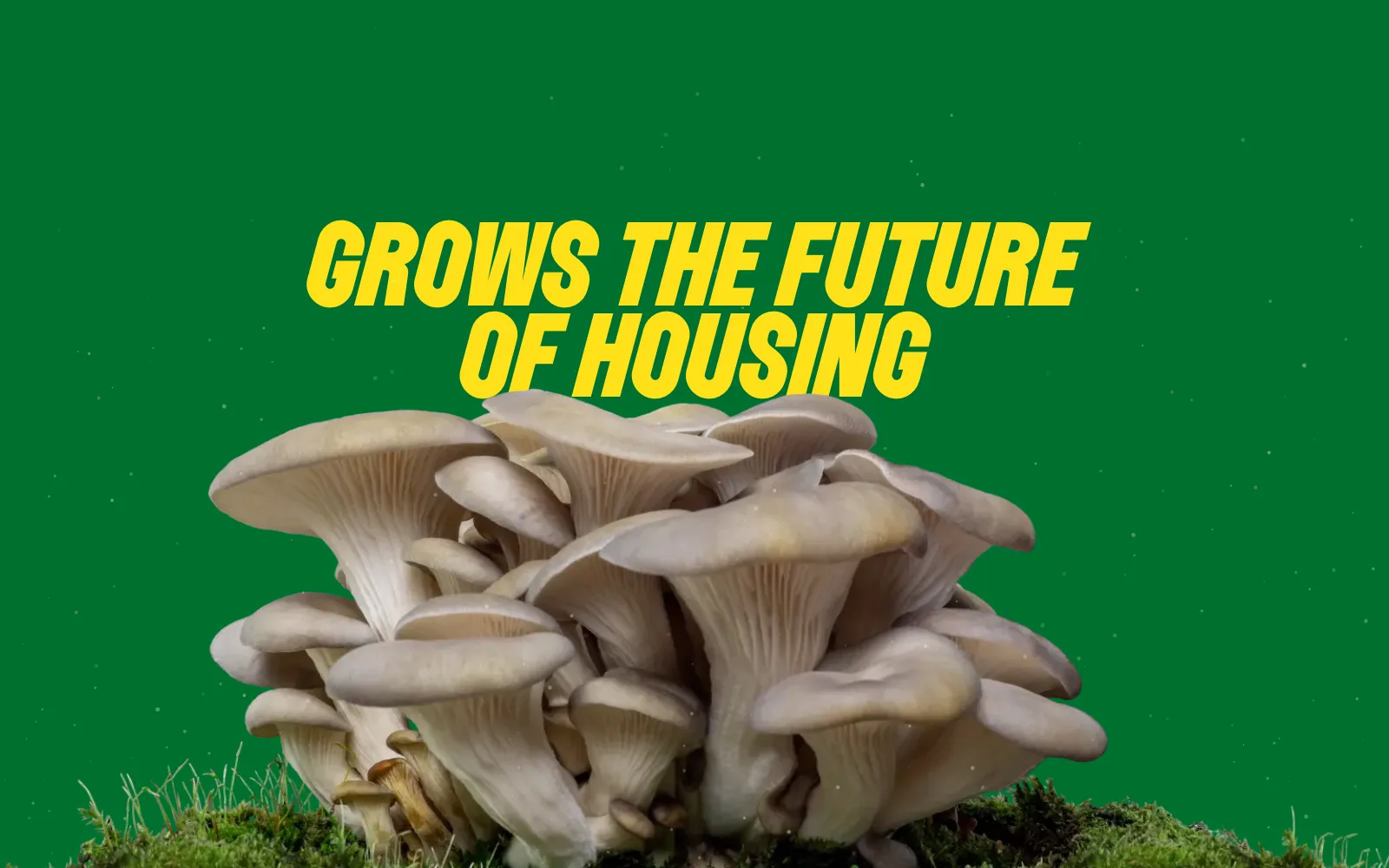 Frame from the animated experience: a cluster of oyster mushrooms beneath the words "Grows the Future of Housing", with a Dig In button.
