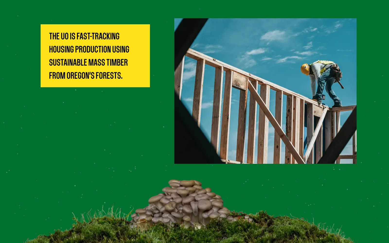 Frame from the animated experience: a worker on a timber frame under a blue sky, with the slide’s caption, above a mushroom cluster.