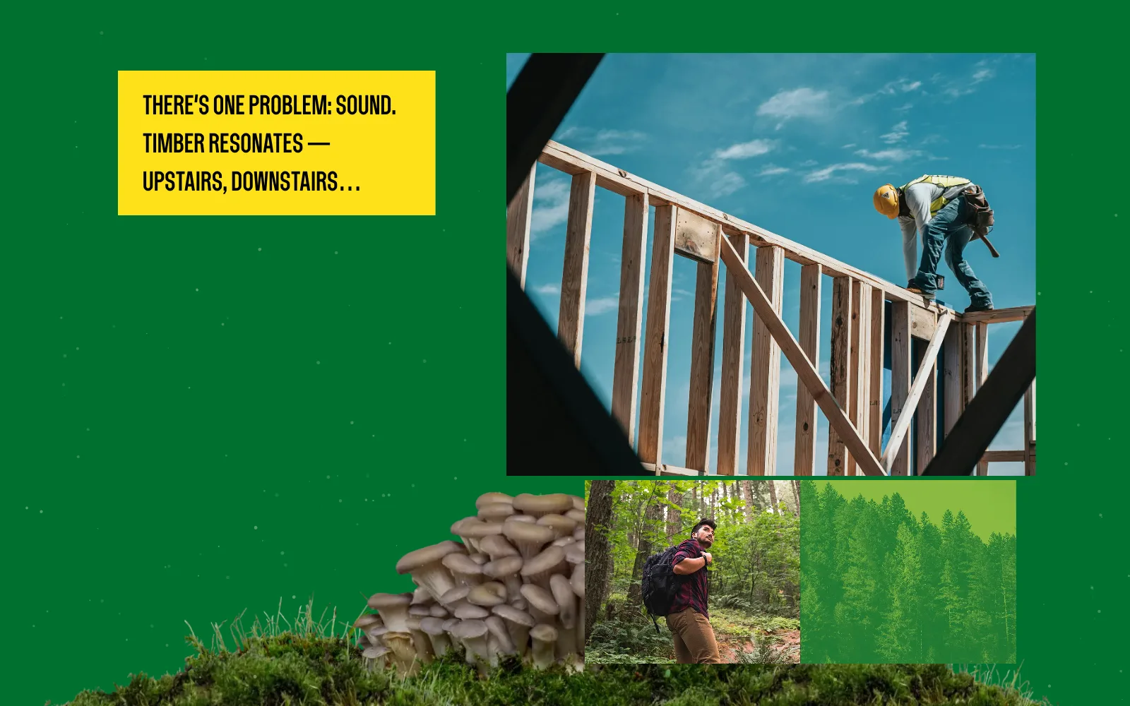 Frame from the animated experience: the timber-frame photo with a hiker in an Oregon forest and a green-tinted treeline layered below it, with the slide’s caption.
