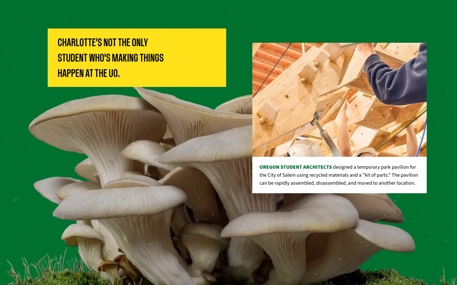 Frame from the animated experience: students assembling a plywood pavilion, with their caption, above a mushroom cluster.