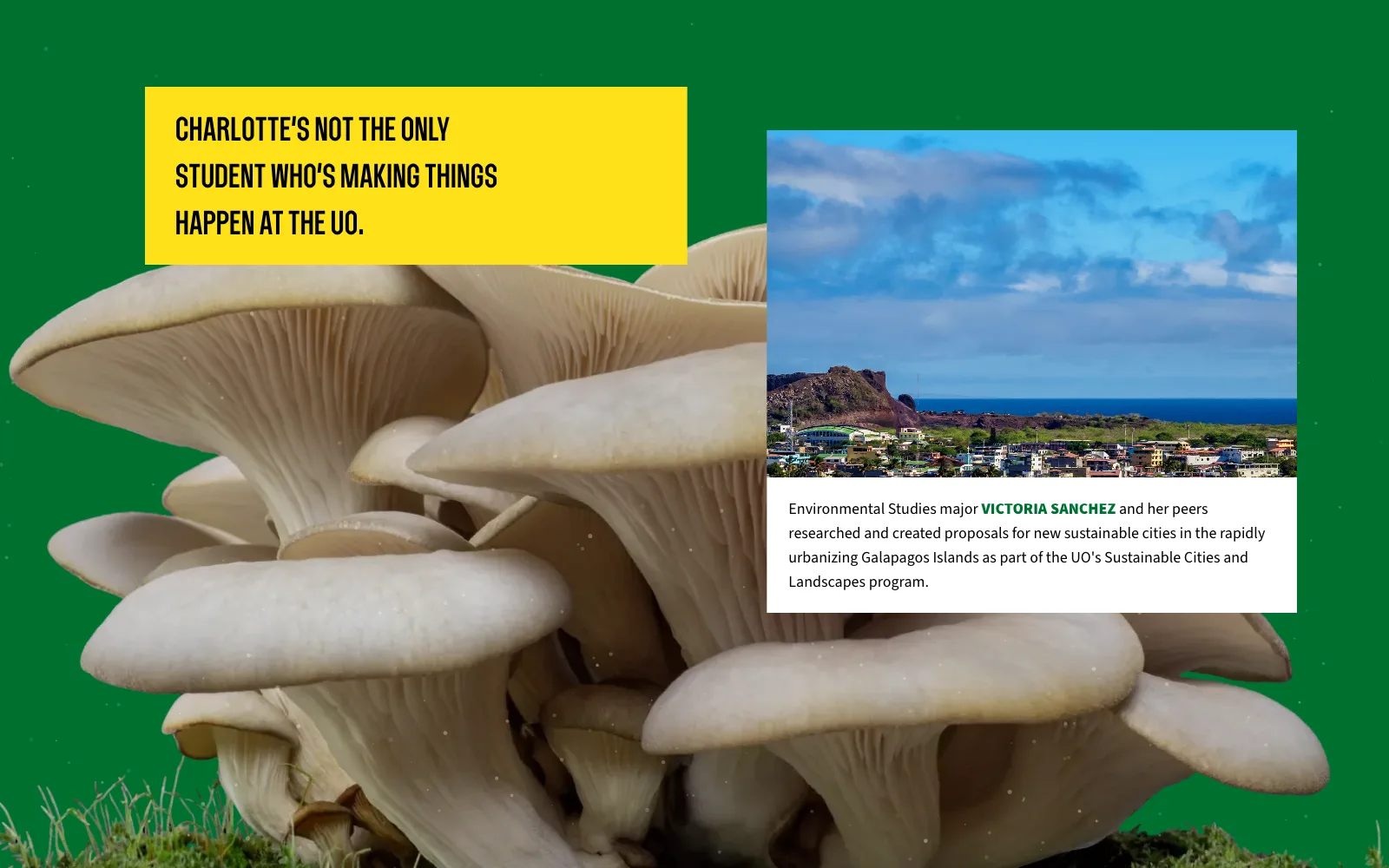 Frame from the animated experience: a harbor town in the Galápagos Islands, with Victoria Sanchez’s caption, above a mushroom cluster.