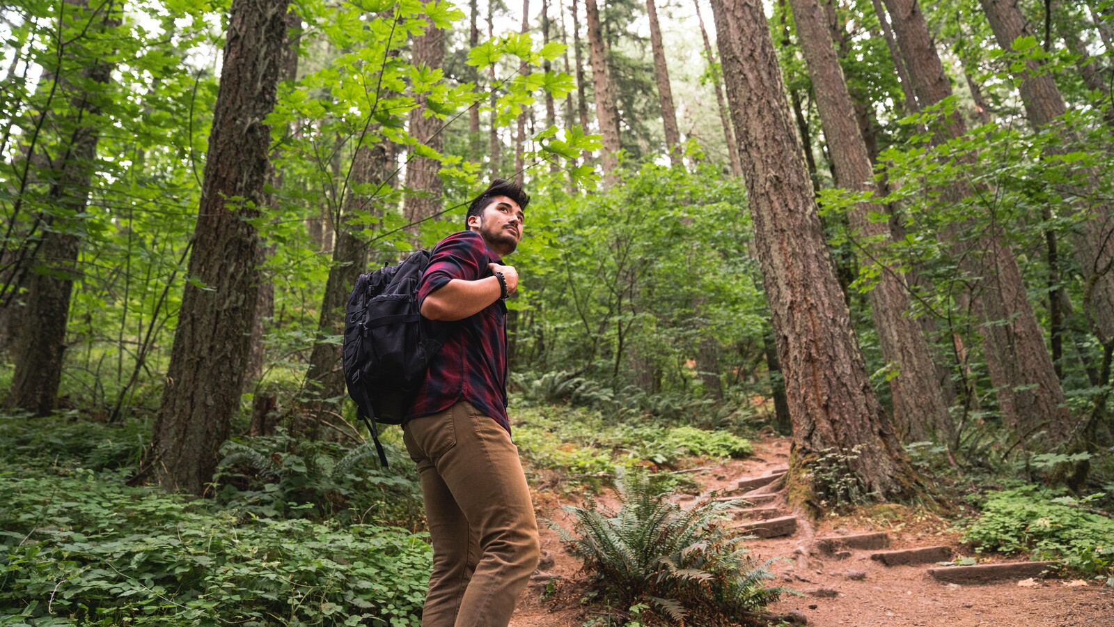 A student hikes through a forest near Eugene.