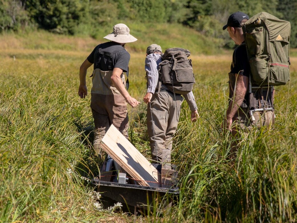 Researchers carry field equipment through a wetland.