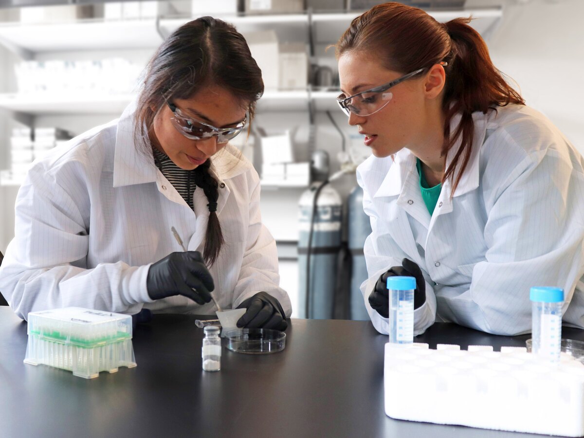 Two students work together in a laboratory.