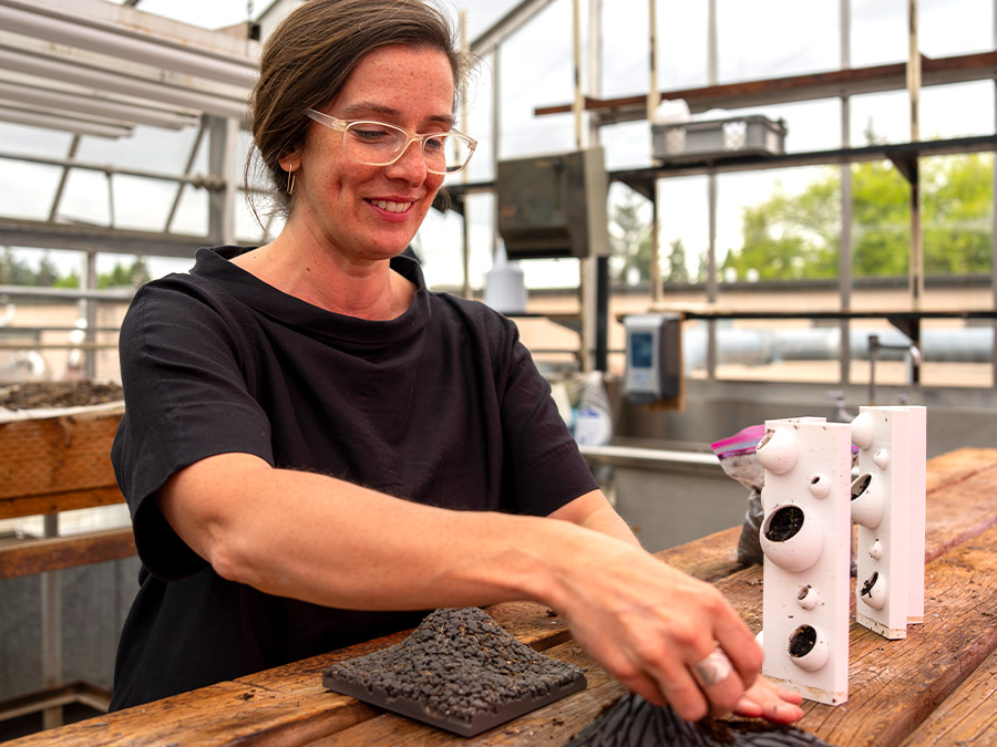 Student working in the University of Oregon’s research greenhouse facilities.