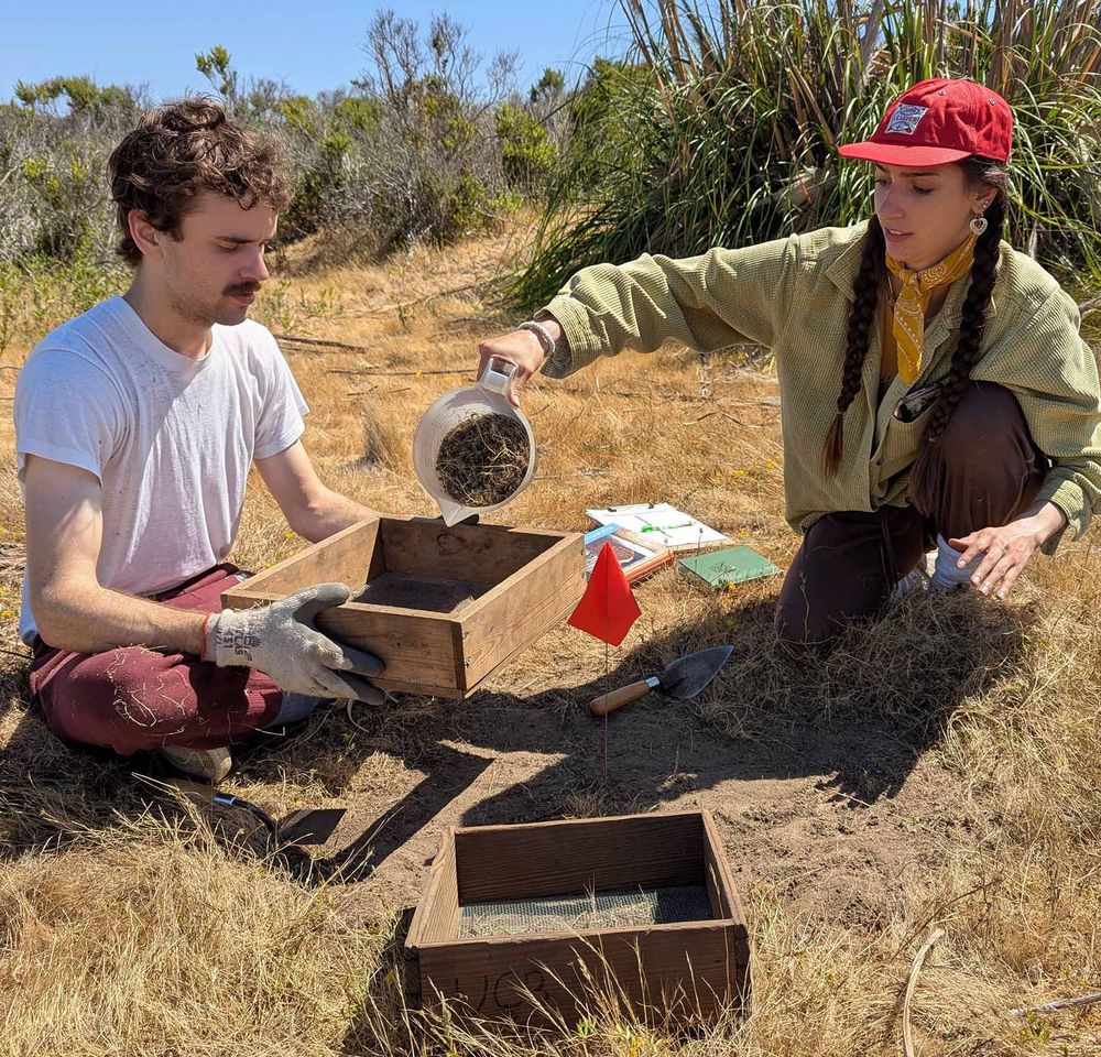 Two people sift soil through wooden screens at an outdoor excavation site.