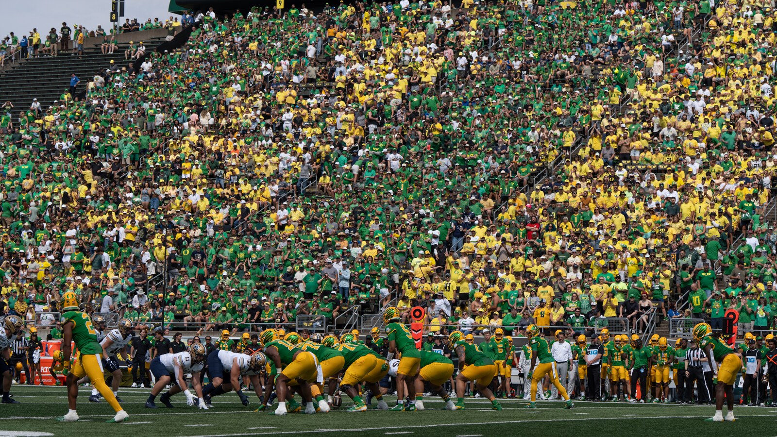 Oregon fans create green and yellow stripes in the stands of Autzen Stadium.