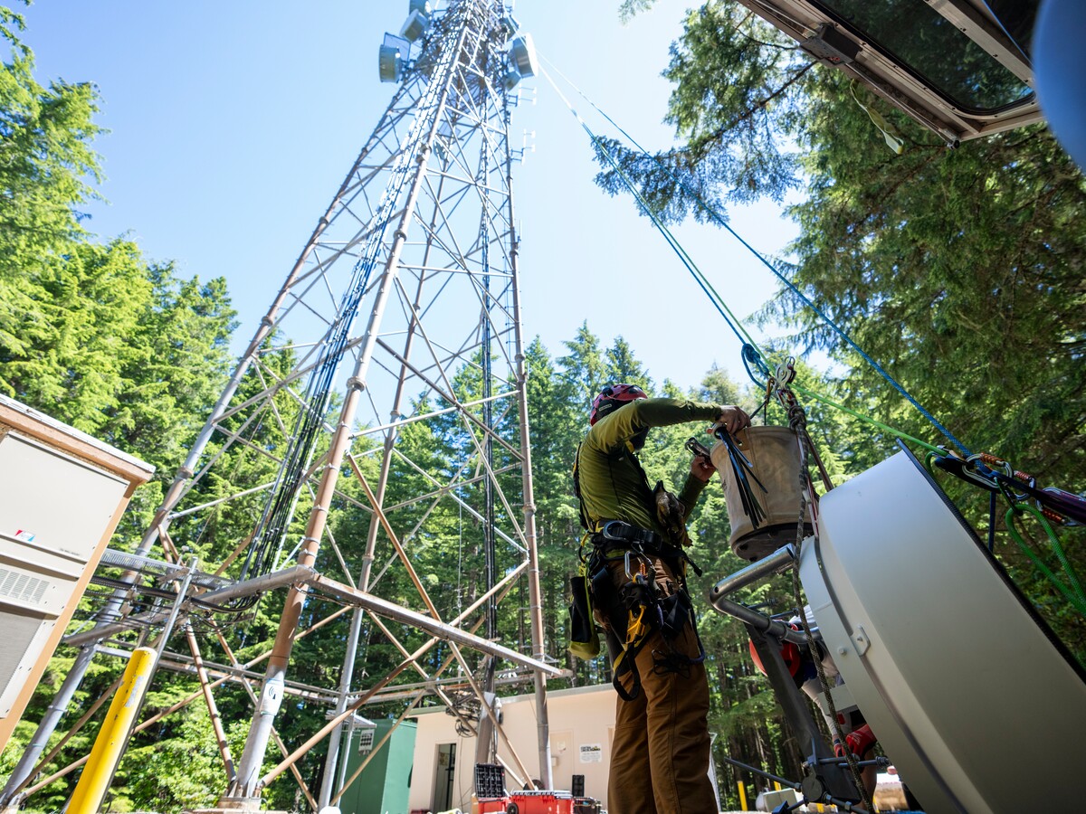 A researcher works on communications equipment beside a tower in a forest.