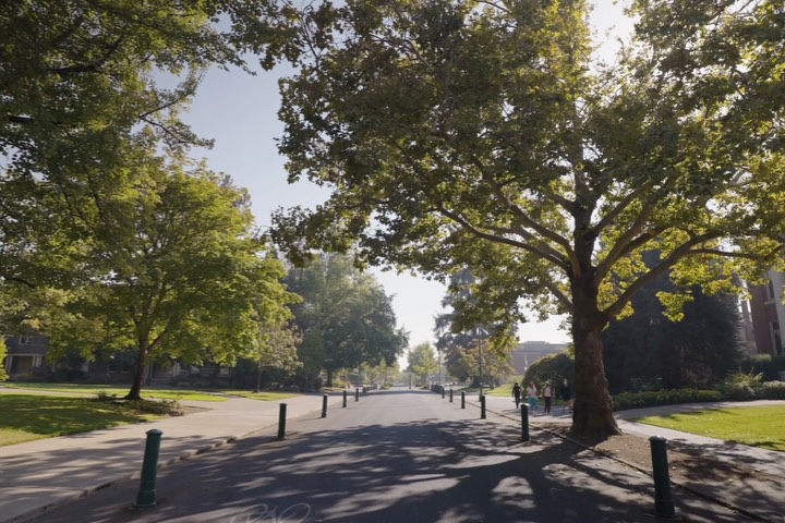 Students share favorite places around Eugene.