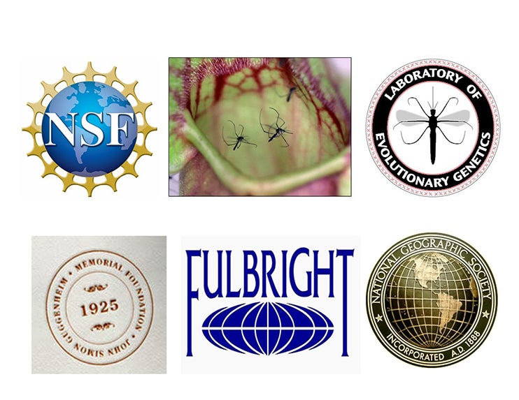 National Science Foundation and various journal logos