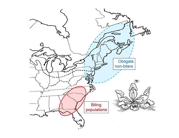 Map showing mosquito populations in the United States