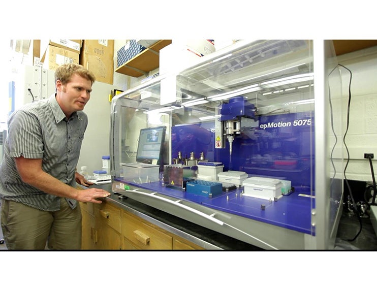 Lab technician at work