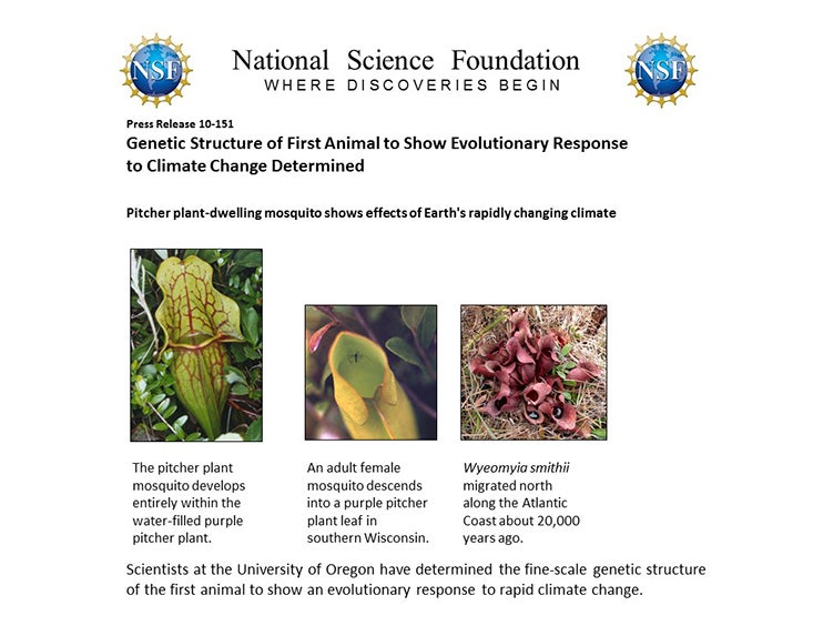 Pitcher plant-dwelling mosquito shows effects of Earth's rapidly changing climate