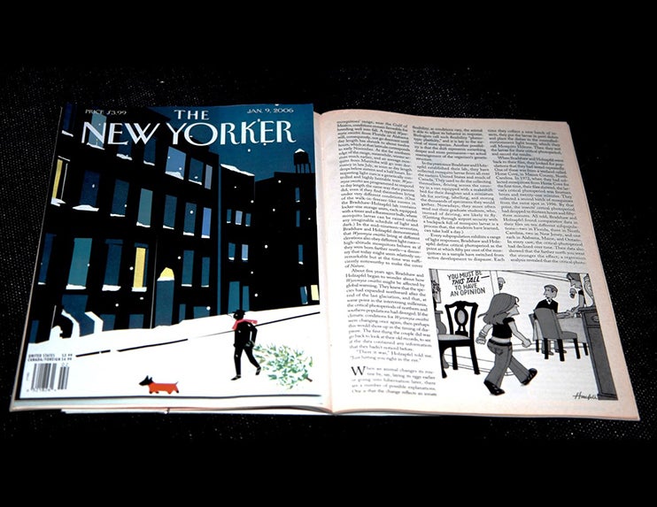Article in The New Yorker magazine