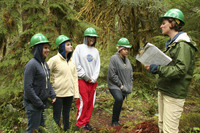 People wearing warm clothes and hard hats stand in the forest