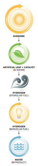 The sun, a leaf, hydrogen fuel, a light bulb, and water