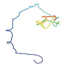 A colored representation of a worm's path through the ground