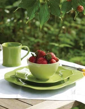 A new set of dishware 