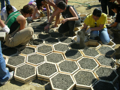 Volunteers build a structure