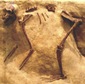 A monkey fossil