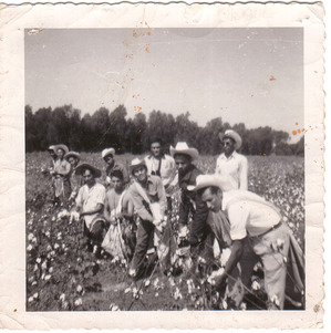 Agricultural workers in a field