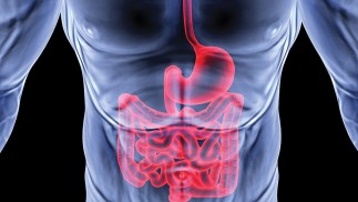 X-ray image of stomach (gut)