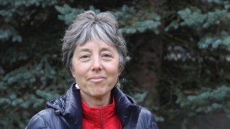 Ellen Herman