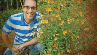 Streisfeld, with monkey flower