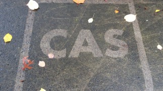 CAS Stone