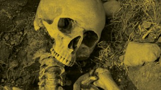 skeleton