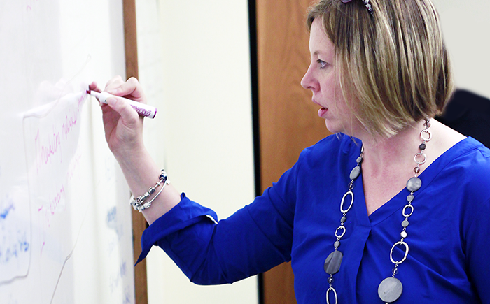 CASLS Director Dr. Julie Sykes gives a workshop